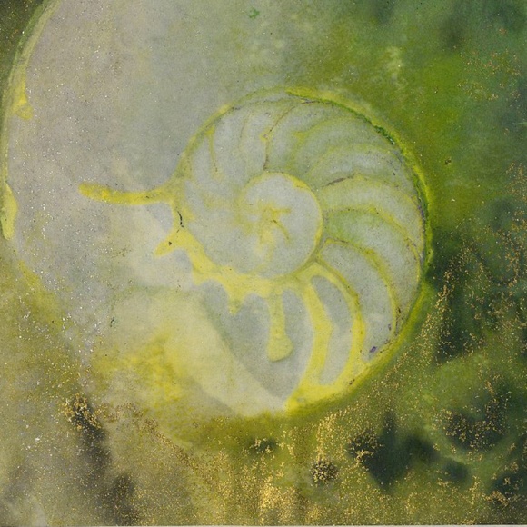 Original Nautilus Shell Watercolor Painting in Acid Free mat Nautilus Shell 942 - Picture 2 of 3